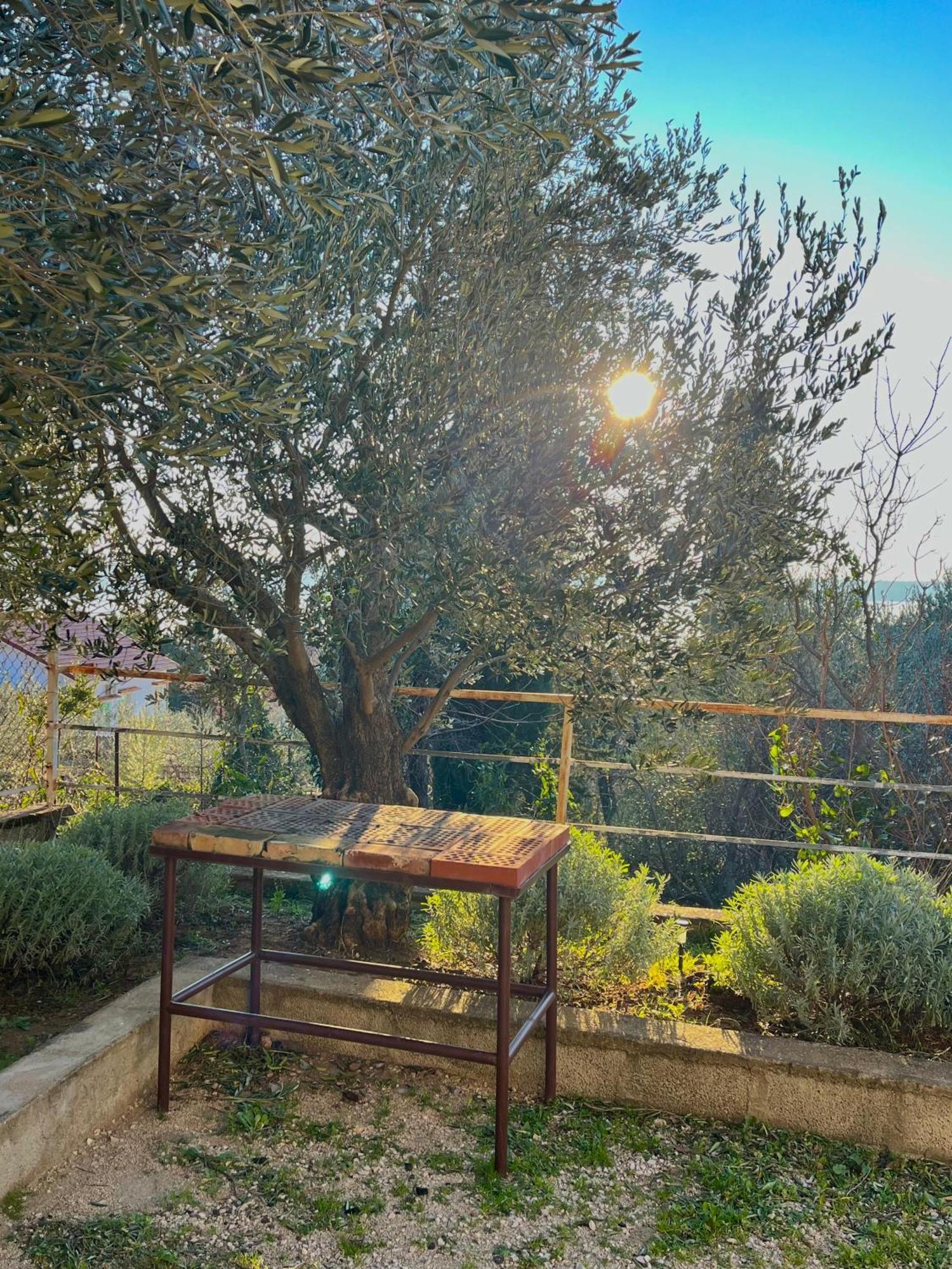 Modern Seaview House Fiore Starigrad Paklenica Exterior photo